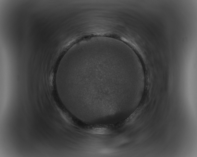 X0000084520066200703021407