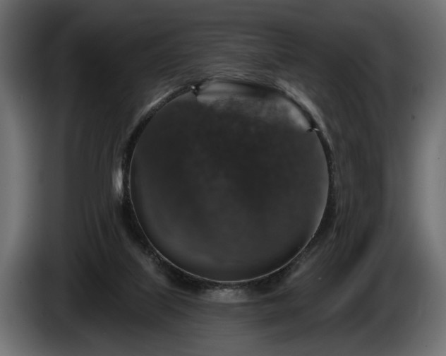 X0000084520067200703021407