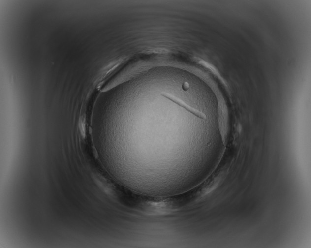 X0000084520068200703021407