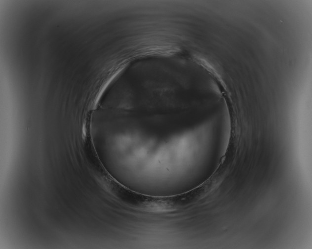 X0000084520069200703021407