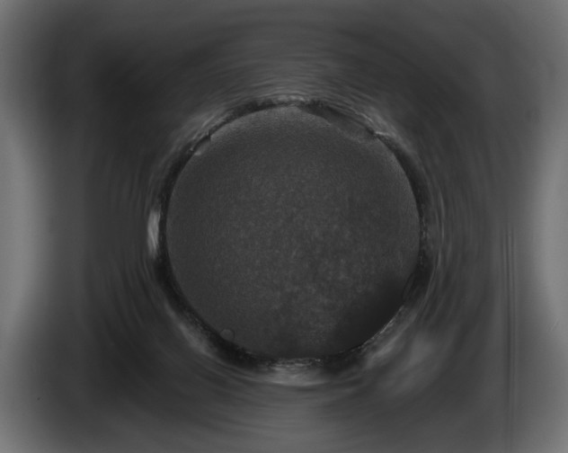 X0000084520070200703021407