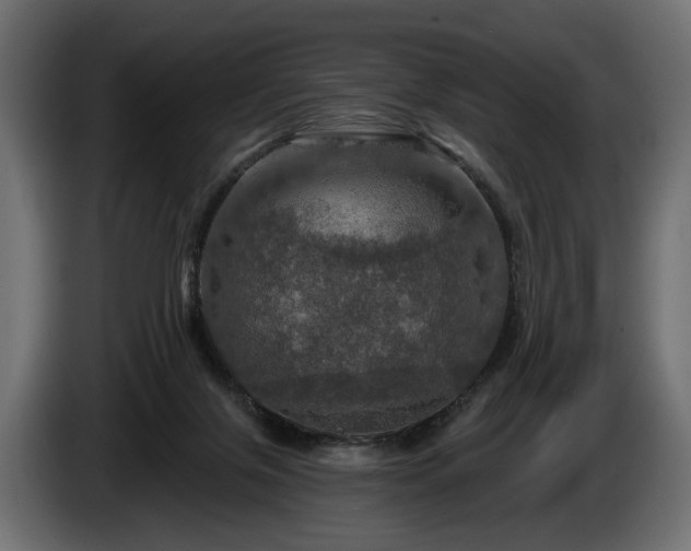 X0000084520071200703021407