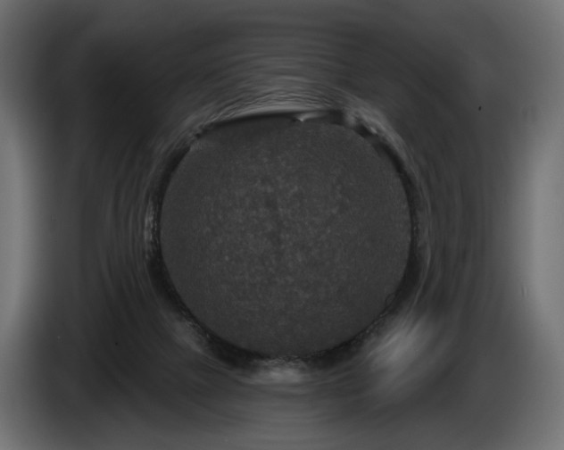 X0000084520073200703021407