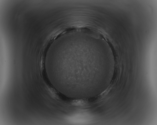 X0000084520074200703021407