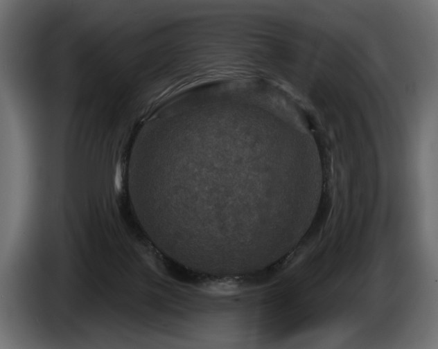 X0000084520075200703021407