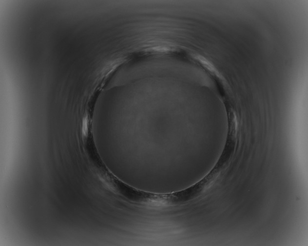 X0000084520076200703021407