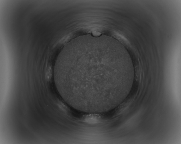 X0000084520077200703021407