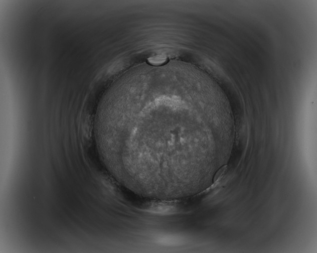 X0000084520078200703021407