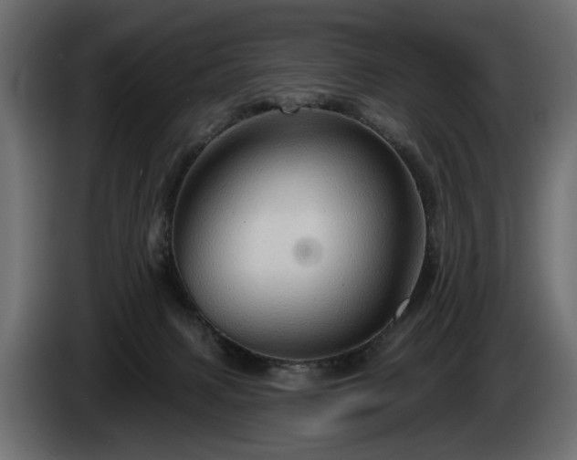 X0000084520079200703021407