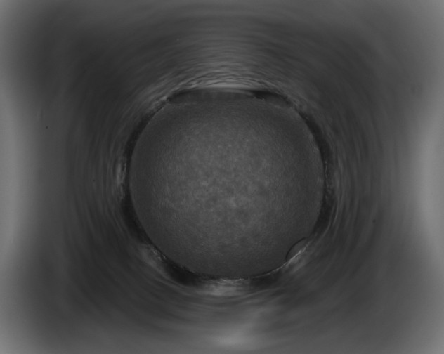 X0000084520082200703021407