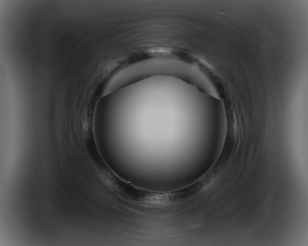 X0000084520084200703021407