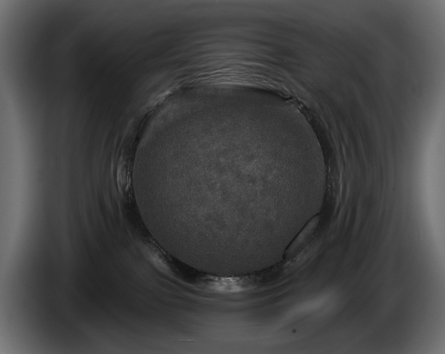 X0000084520091200703021407