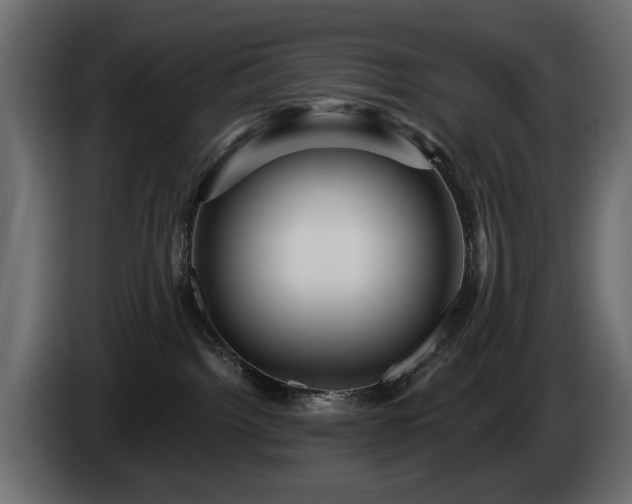 X0000084520092200703021407