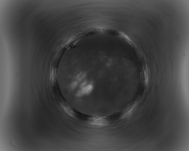 X0000084520093200703021407