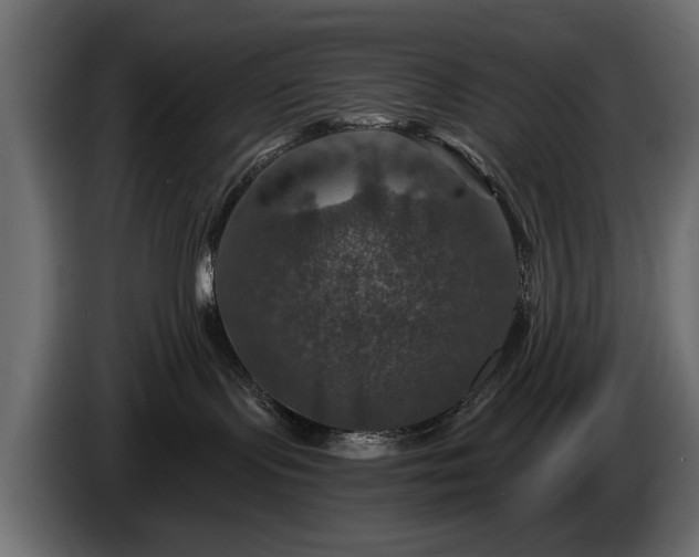 X0000084520095200703021407