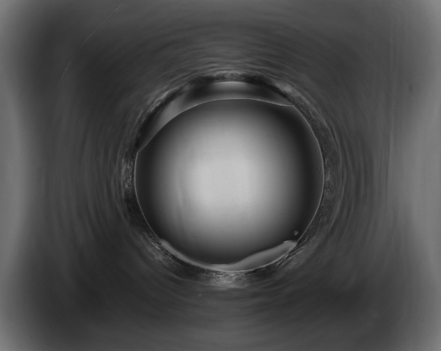 X0000084520096200703021407