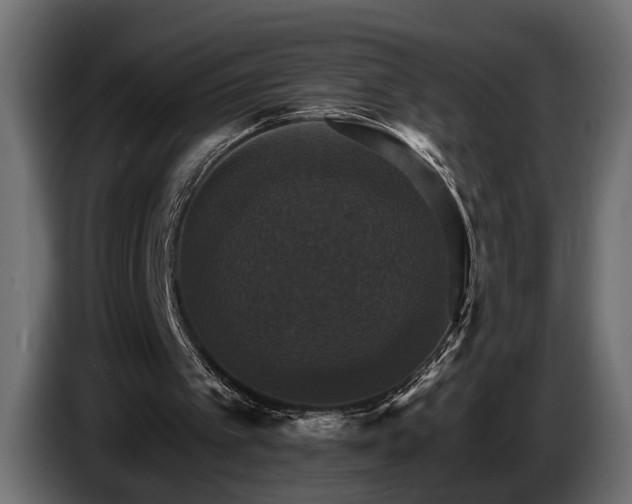 X0000084520097200703021406