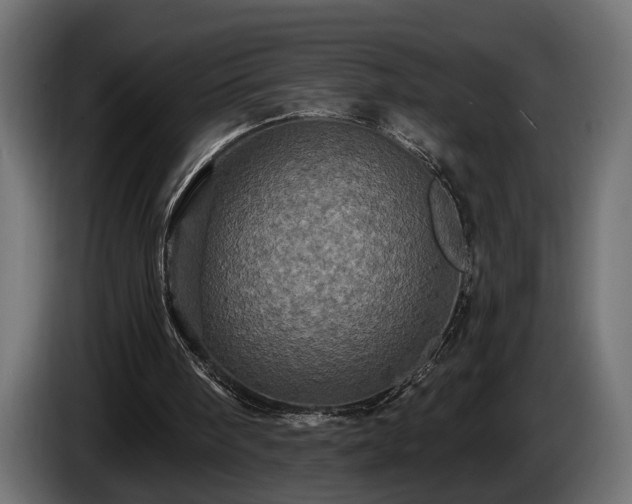 X0000084520098200703021406