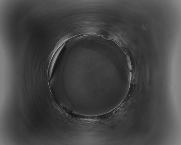 X0000084520099200703021406