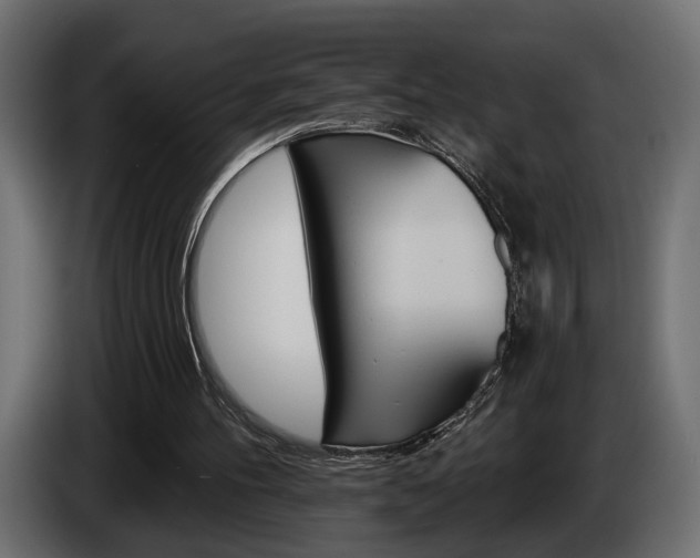 X0000084520100200703021406