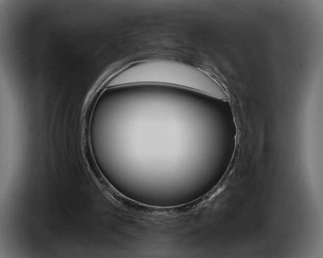 X0000084520101200703021406