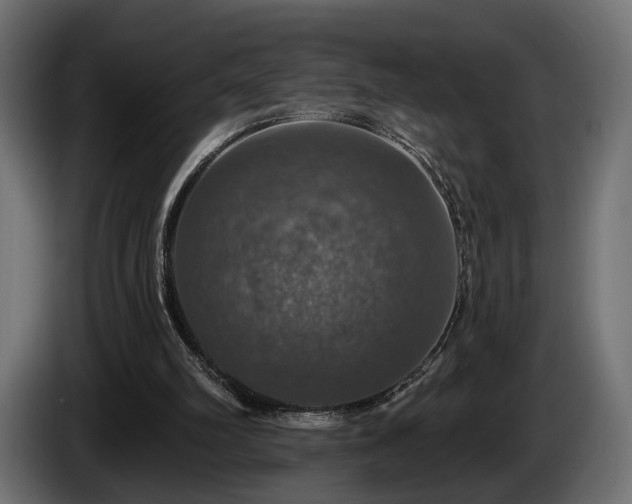 X0000084520102200703021406