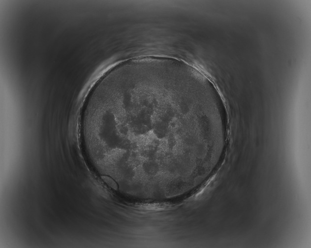 X0000084520103200703021406