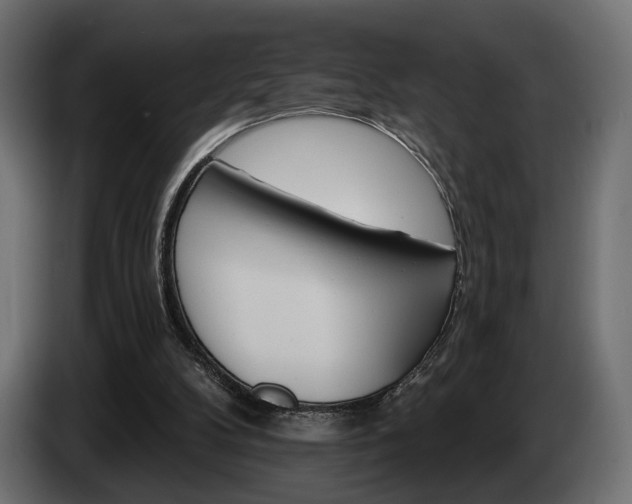 X0000084520104200703021406