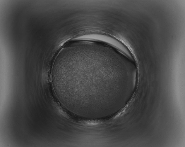 X0000084520105200703021406