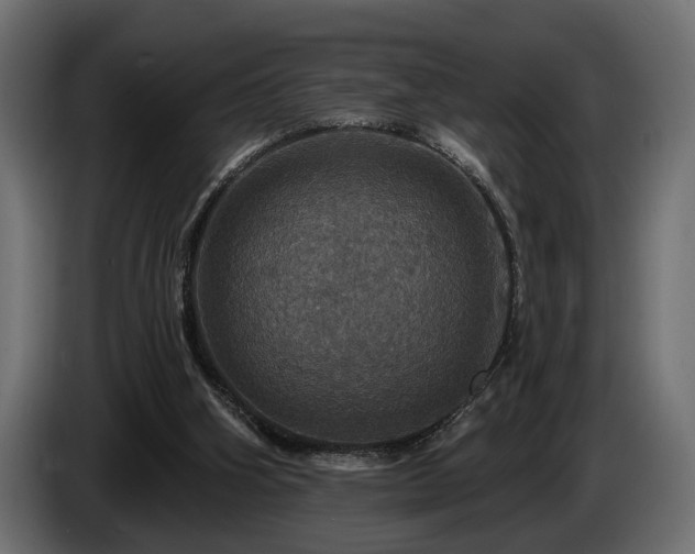 X0000084520106200703021406