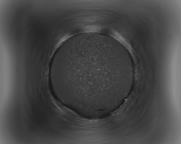 X0000084520107200703021406