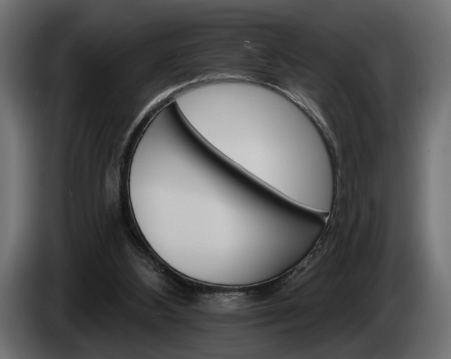 X0000084520108200703021406