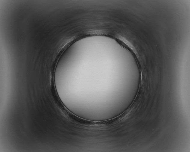 X0000084520109200703021406