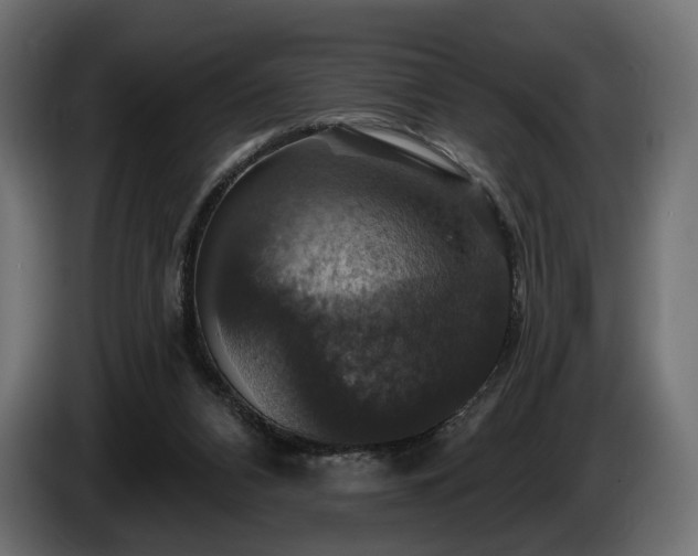 X0000084520112200703021406