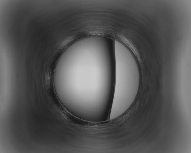 X0000084520113200703021406