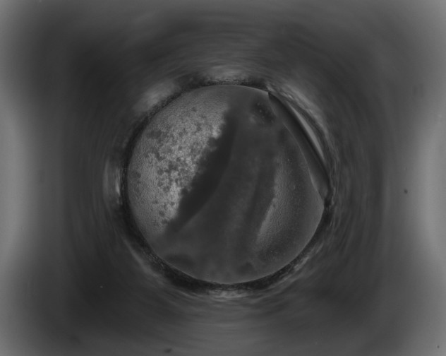 X0000084520115200703021406