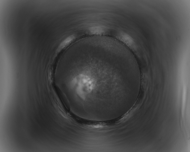 X0000084520116200703021406