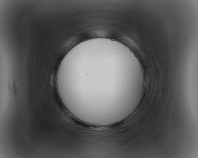 X0000084520122200703021406