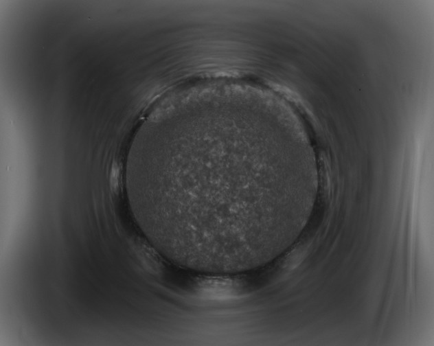 X0000084520123200703021406