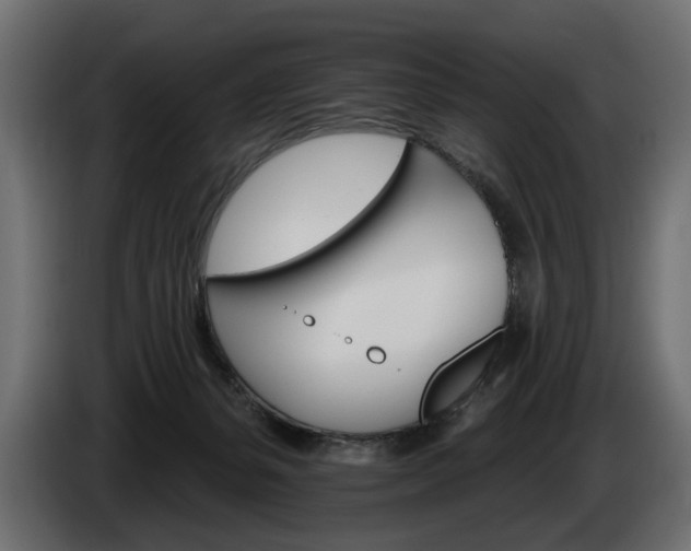 X0000084520127200703021406