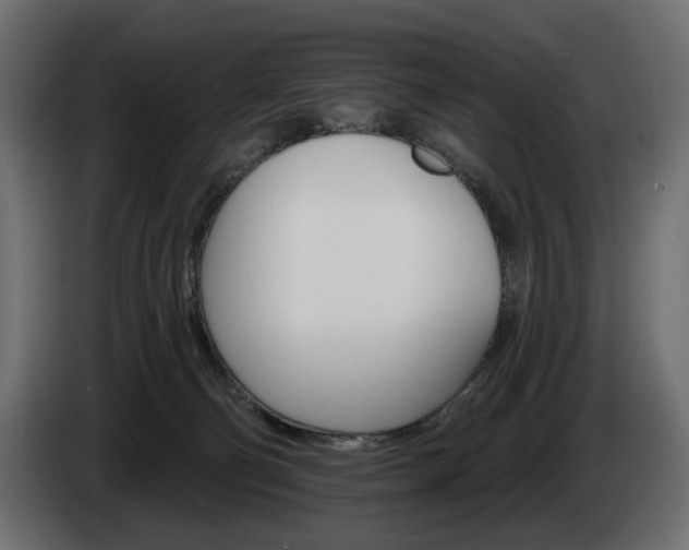 X0000084520130200703021406