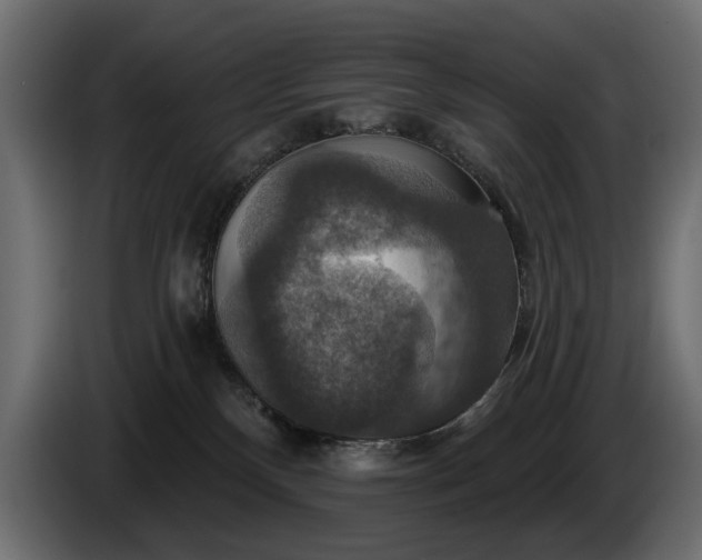 X0000084520136200703021405