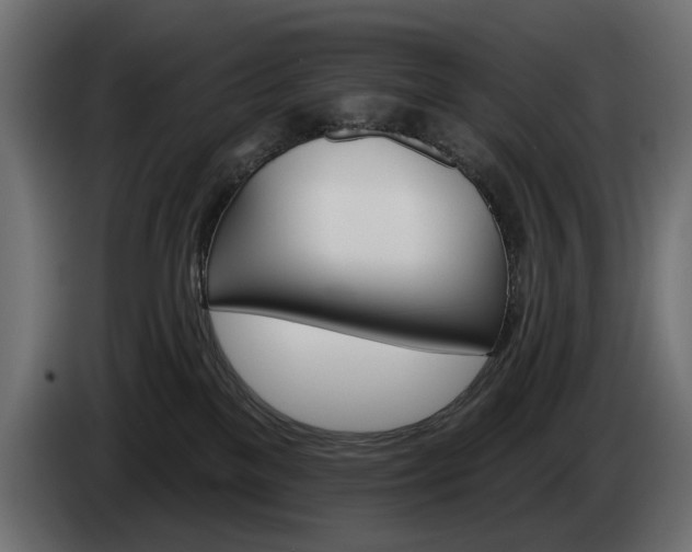 X0000084520137200703021405