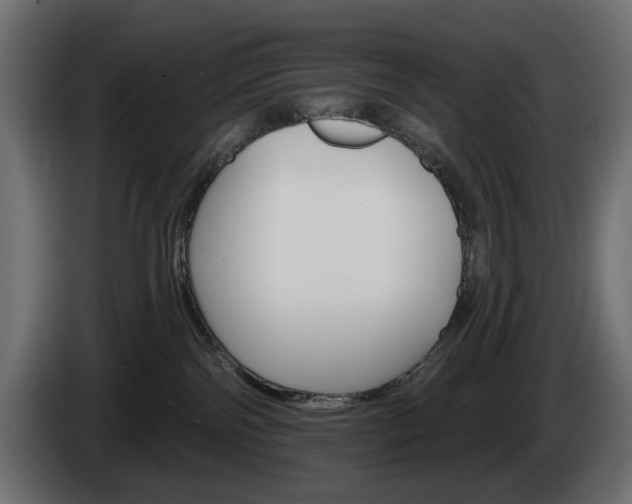 X0000084520138200703021405