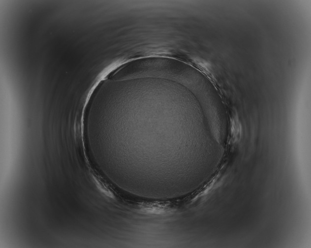 X0000084520148200703021404