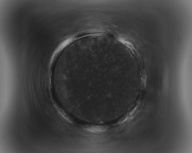 X0000084520149200703021404