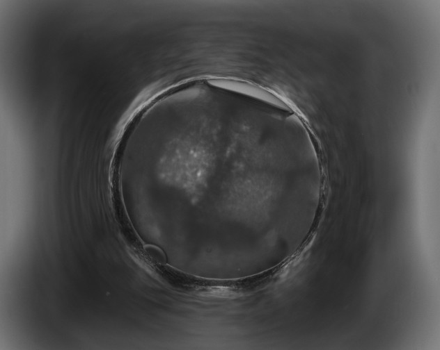 X0000084520151200703021404