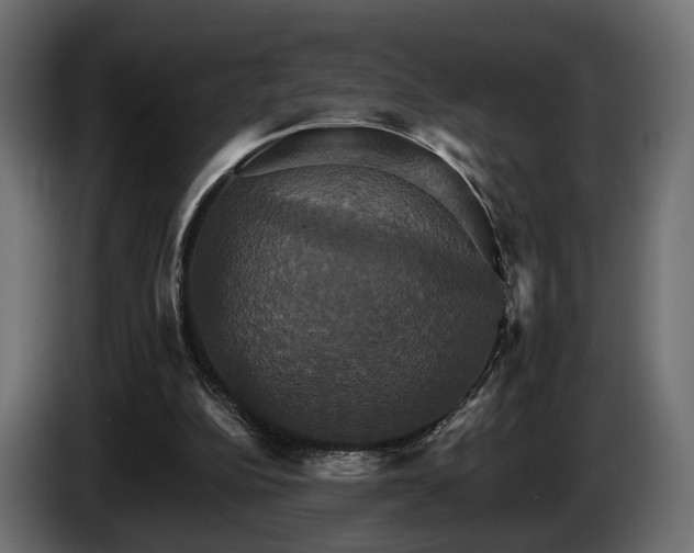 X0000084520152200703021405