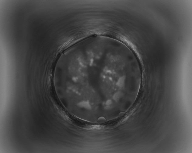 X0000084520153200703021405