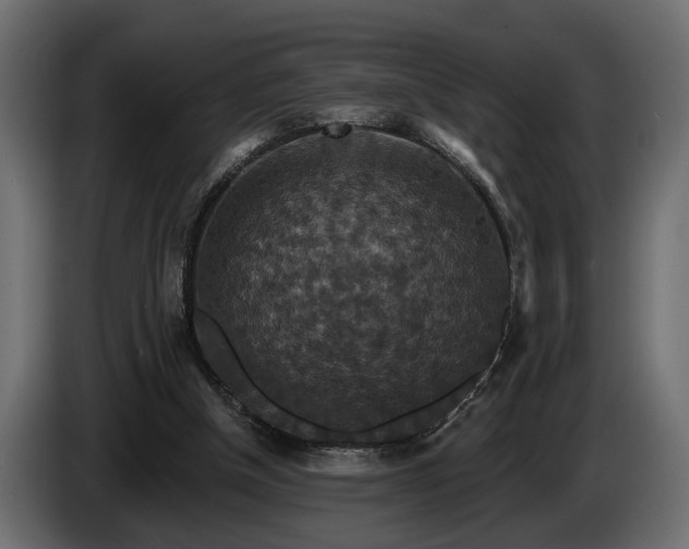 X0000084520154200703021405